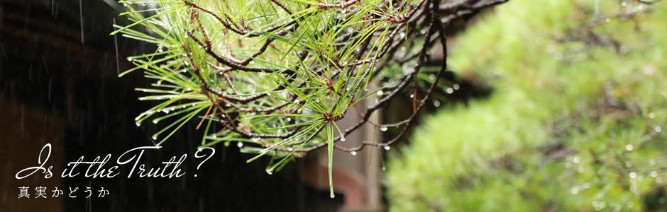 真実かどうか